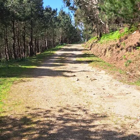 Mirada Do Roxo אויה