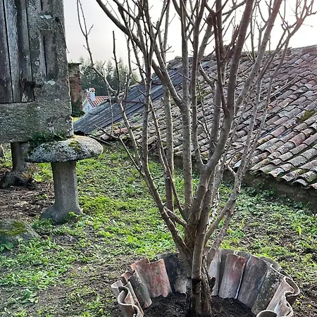 בית אירוח Mirada Do Roxo