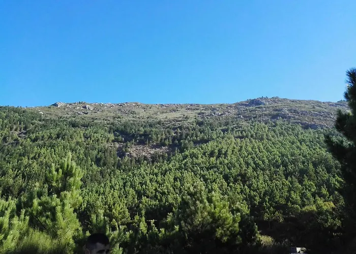 Mirada Do Roxo ホームステイ *