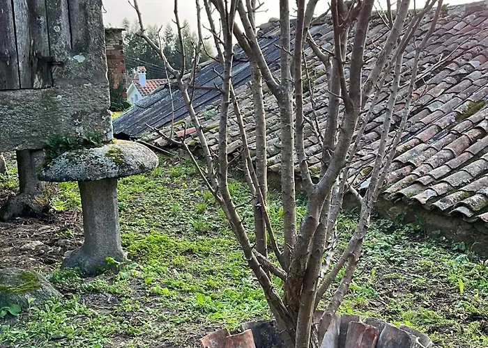 Ubytování v soukromí Mirada Do Roxo