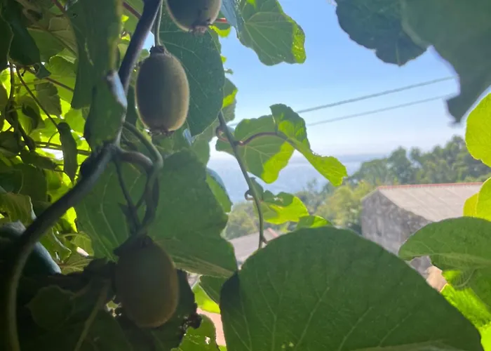 Mirada Do Roxo Ubytování v soukromí Oia